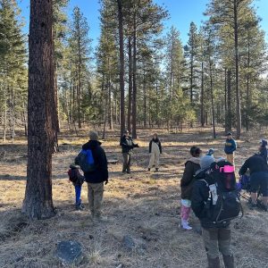 3146D132-B51E-46E6-BF33-724EE225DE74