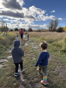 f58c9ubtlgn5fwsh07ufb8 (1) (2)