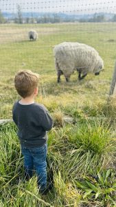 893C9DFA-A247-4609-BC6B-3011DF6B5F1D