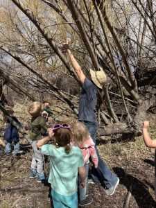 cvmrkzsijr04ptka4j9jnp (1)